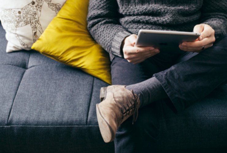 Plant Trees While Searching The Web Slider Image 04